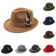 thumbnail image 1 of Men's Traditional Felt Hat with Feather Festival Accessory, 1 of 3