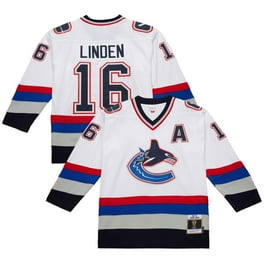 Ice Hockey Vancouver Canucks Jersey 2015 Alternate Jersey Canucks