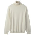 thumbnail image 1 of Mens Turtleneck Sweater Warm Knitted, 1 of 5