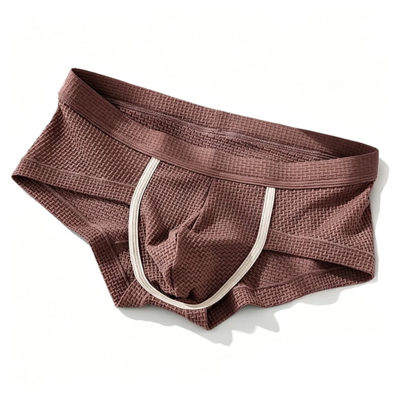 Men's Underwear Briefs Soft Breathable Summer Mesh Double Layer Mid Rise Triangle Underpants