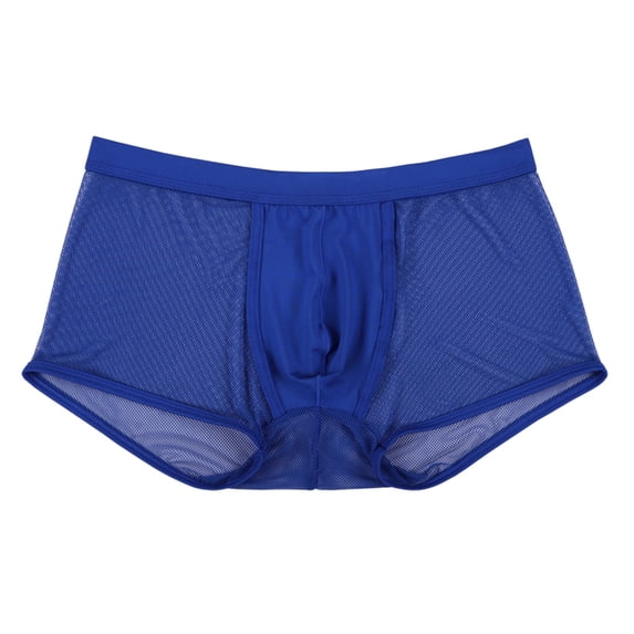 Men's Underwear Briefs for Everyday Comfort and Confidence Low Rise Design for Modern Men Men Blue L