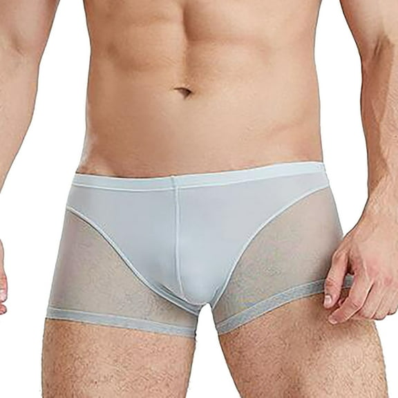 Men's Underwear Japanese Mesh Translucent High Spring Low Waist Sexy U Breathable Boxers