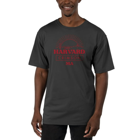 Men's Uscape Apparel Black Harvard Crimson Garment Dyed T-Shirt