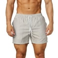 thumbnail image 1 of Men's Vertical Striped Athletic Short Pants 6" Inseam Quick Dry Beach Short Pants with Pockets Elastic Waist Drawstring for Workout, 1 of 4