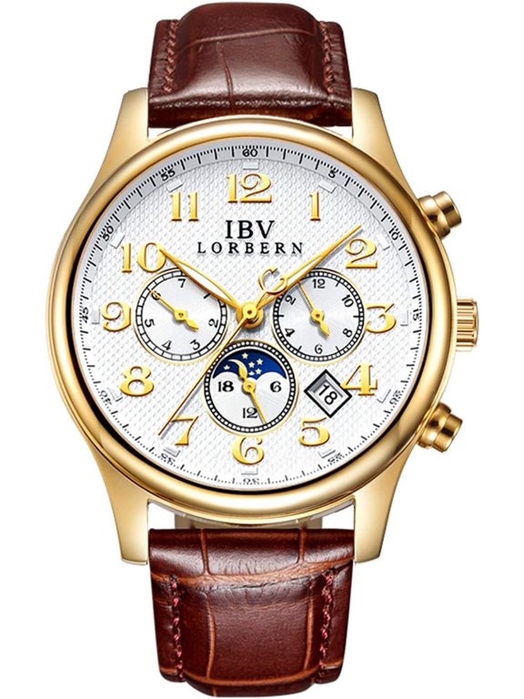 Men's Watch Automatic Self-Wind 24 Hours Moon Phase Stainless Steel with Leather Strap Transparent Watch