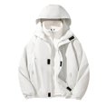 thumbnail image 1 of Men's Waterproof Ski Jacket with Detachable Insulated Liner Winter Windbreaker Hooded Snowboarding Mountain Jacket, 1 of 7
