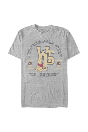 Men's Winnie the Pooh Bear Collegiate Graphic Tee Athletic Heather X Large