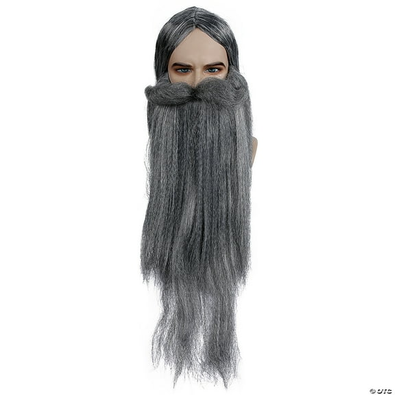 Men's Wizard Wig & Beard Set