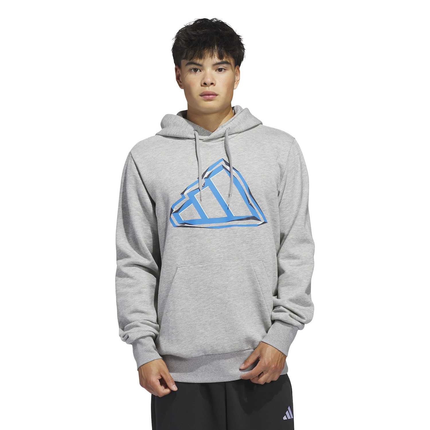 Men's adidas Big Logo Graphic Hoodie Color: Medium Grey Size: XL