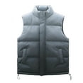 thumbnail image 1 of Men's and Big Men's Puffer Vest Casual Warm Sleeveless Zipper Jacket with Pliad Collar Black 4XL, 1 of 9