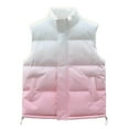 thumbnail image 1 of Men's and Big Men's Puffer Vest Casual Warm Sleeveless Zipper Jacket with Pliad Collar Pink 3XL, 1 of 6