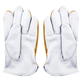 thumbnail image 1 of Men's and Women's Work Gloves Stab and Cut Resistant Leather Gardening GlovesapricotM, 1 of 6