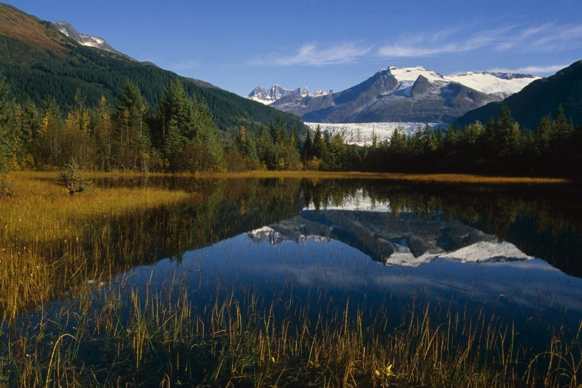 Mendenhall Glacier & Coast Mtns Reflecting In Pond Southeast Alaska Summer Tongass National Forest Canvas Art - Mark Kelley Design Pics (34 x 22)