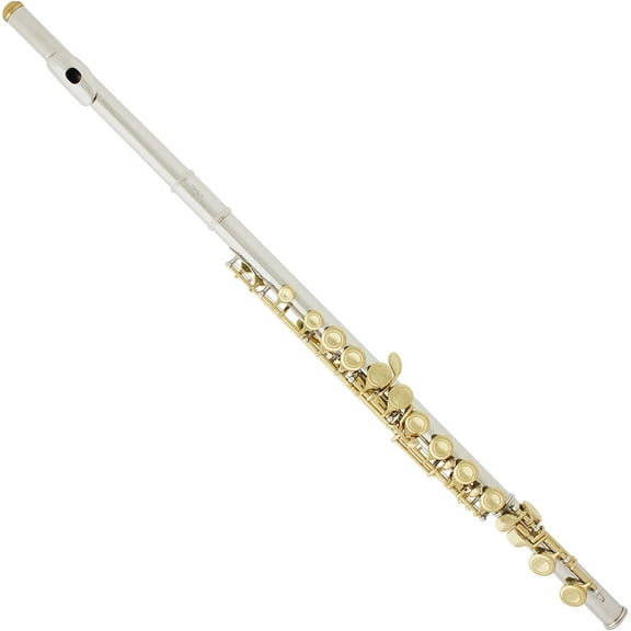 Mendini By Cecilio Flute, 16 Keys C Flute for Beginners, Gold Finish with Comprehensive Accessories