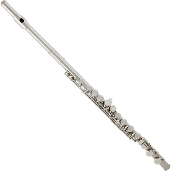 Mendini By Cecilio Flute, 16 Keys C Flute for Beginners with Comprehensive Accessory Kit (Silver Nickel)