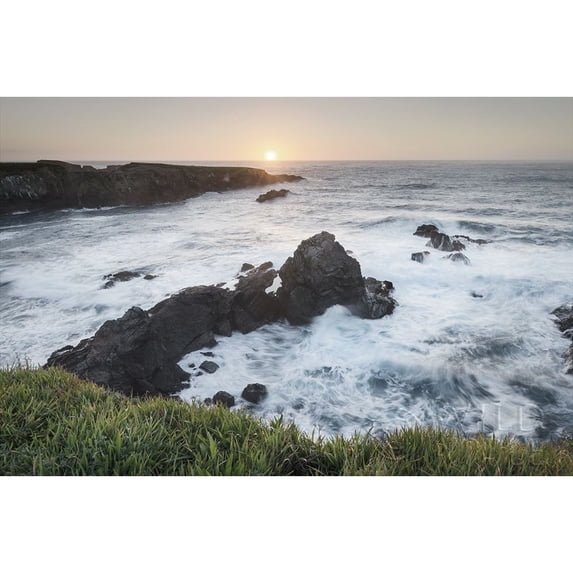 Mendocino Coast Poster Print by Alan Majchrowicz