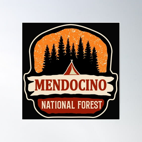 Mendocino National Forest Poster Wall Art, Modern Wall Decor, 16x16 UNFRAMED