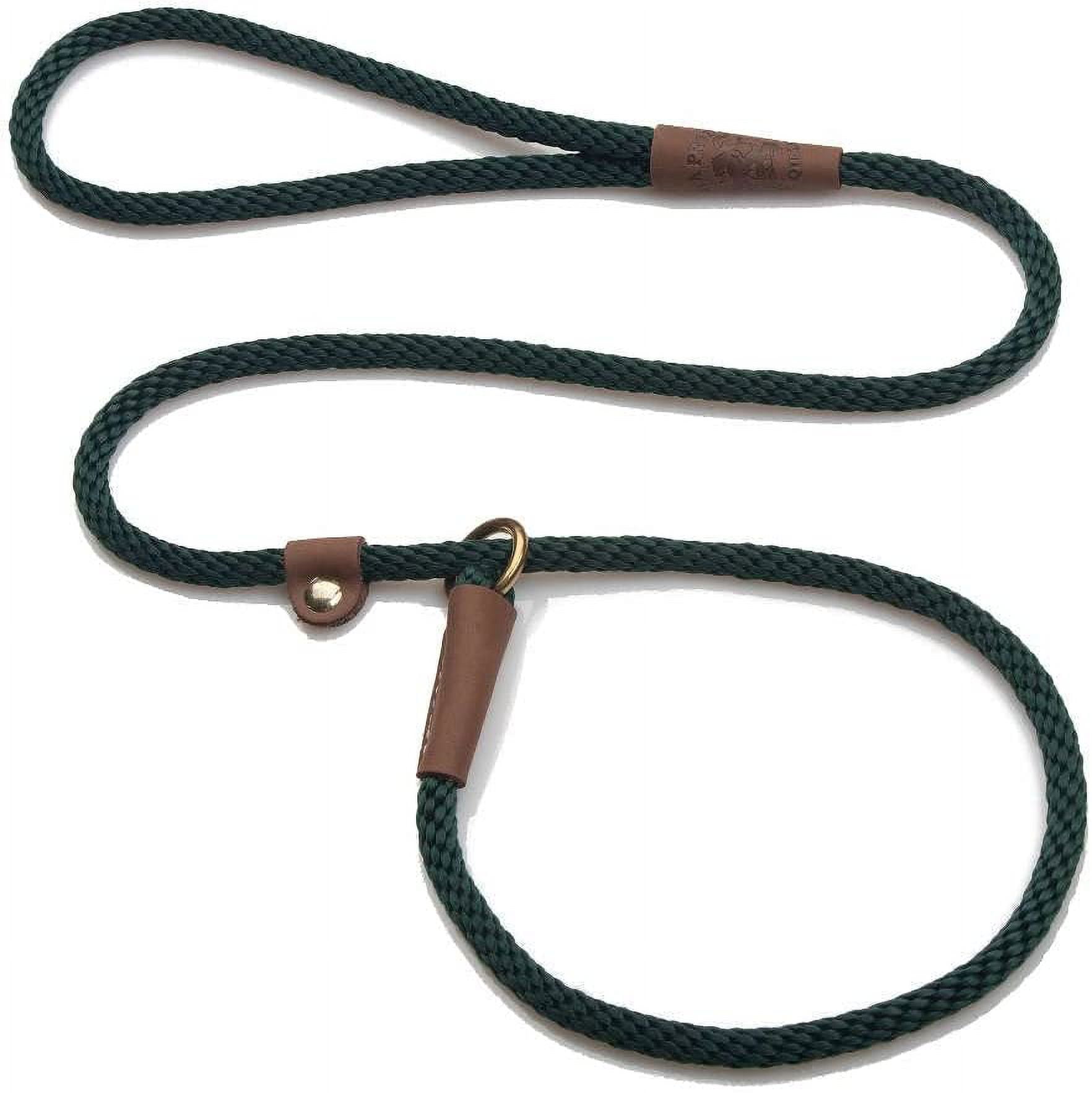 Mendota Pet Slip Leash Dog Lead and Collar Combo 3/8 in x 6 ft