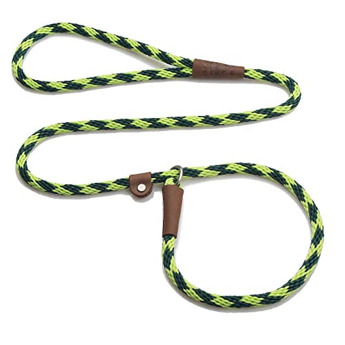 Mendota Pet Slip Leash - Dog Lead and Collar Combo - - Jade, 3/8 in x 6 ft - for Small/Medium Breeds