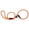 thumbnail image 1 of Mendota Pet Slip Leash - Dog Lead and Collar Combo - - Orange, 3/8 in x 4 ft - for Small/Medium Breeds 3/8 in x 4 ft Orange, 1 of 8