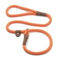 thumbnail image 1 of Mendota Pet Slip Leash - Dog Lead and Collar Combo -, 1 of 8