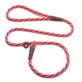 thumbnail image 1 of Mendota Pet Slip Leash - Dog Lead and Collar Combo -, 1 of 18