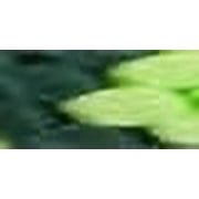 Mendota Products Slip Lead, 1/2 X 6, Green/Lime, Dogs