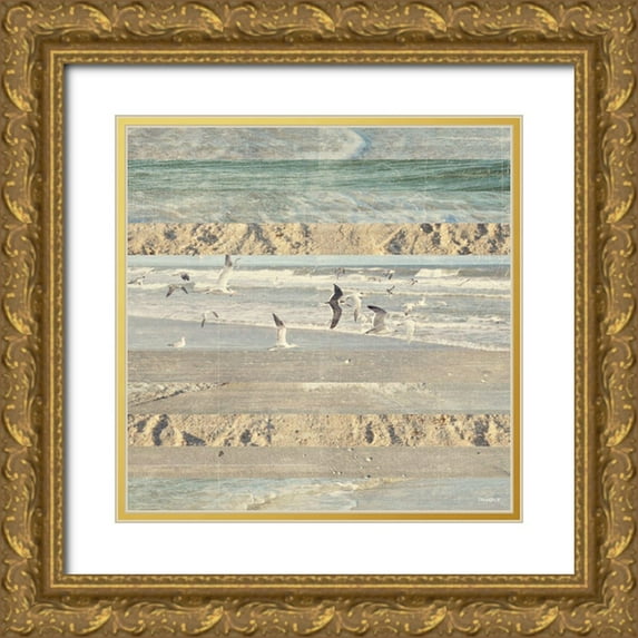 Meneely, Dan 12x12 Gold Ornate Wood Framed with Double Matting Museum Art Print Titled - Flying Beach Birds II