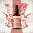 thumbnail image 1 of Secrets Of The Tribe Menopause Secret Blend Tincture Dietary Supplement, Natural Extract, Made from Black Cohosh, Vitex, Red Clover, Maca, Dong Quai, St. John's Wort 2 oz, 1 of 8