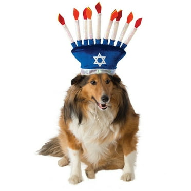 Menorah Hat for Pets