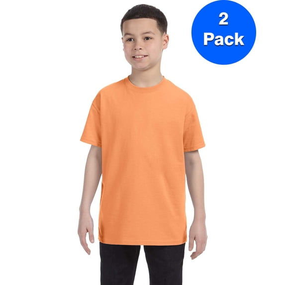 Mens 5.3 oz. Heavy Cotton T-Shirt 2 Pack