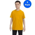 thumbnail image 1 of Mens 5.3 oz. Heavy Cotton T-Shirt 5 Pack, 1 of 2
