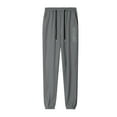 thumbnail image 1 of Mens Athletic Pants Thin Breathable Quick Dry Summer Ice Silk Slacks Air Conditioned Harlan Harbor Style Cargo Leggings Sweatpants Men Grey XXXXL, 1 of 3