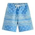 thumbnail image 1 of Mens Beach Shorts Summer Boho Paisley Print Drawstring Comfort Waist Bathing Suit Mens Swim Trunks Sky Blue XXXL, 1 of 2
