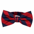 thumbnail image 1 of Mens College Striped Pre-Tied Bow Tie - Red Navy, 1 of 1