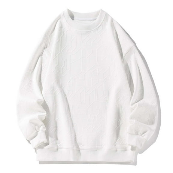 Mens Crewneck Sweatshirt Solid Color Oversized Pullover Tops Fall Fashion Casual Long Sleeve Loose Shirts for Men (White L)