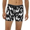thumbnail image 1 of Mens Extended Length Boxer Briefs - Cute Llamas Cactus Alpaca Black White Underwear Boxer Briefs with Elastic Band, 1 of 5