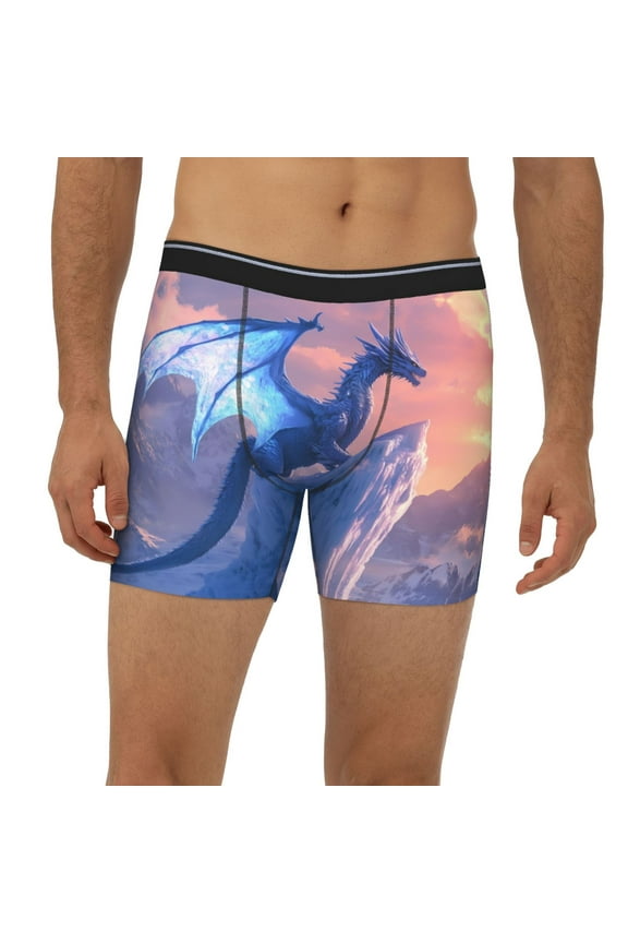 Mens Extended Length Boxer Briefs - Frozen Peak Ice Dragon Underwear Boxer Briefs with Elastic Band