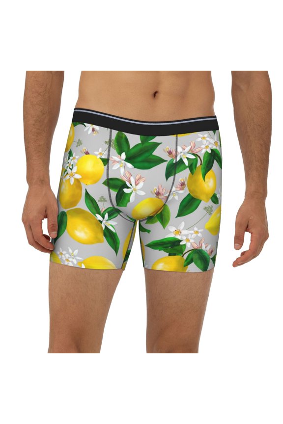 Mens Extended Length Boxer Briefs - Lemon Oil Painting Effect Underwear Boxer Briefs with Elastic Band