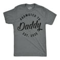 thumbnail image 1 of Mens Funny T Shirts Promoted to Daddy 2025 Sarcastic Family New Baby Graphic Tee for Men Graphic Tees, 1 of 7