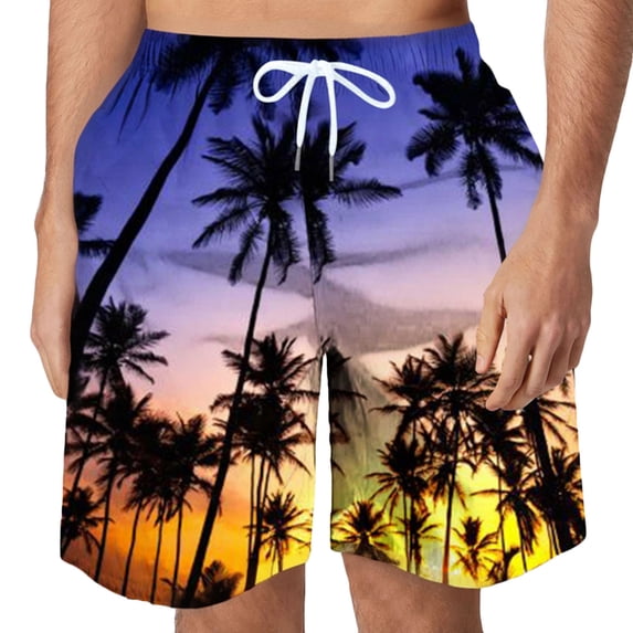 Mens Gym Shorts Men's Summer Hawaiian Print Beach Shorts, Coconut Tree Pattern Casual Short with Pockets & Drawstring Waist Short Bottoms for Holiday Vacation S-6XL