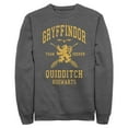 thumbnail image 1 of Mens Harry Potter Gryffindor Quidditch Gold Team Seeker Sweatshirt, 1 of 4