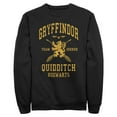 thumbnail image 1 of Mens Harry Potter Gryffindor Quidditch Gold Team Seeker Sweatshirt, 1 of 4