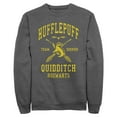 thumbnail image 1 of Mens Harry Potter Hufflepuff Quidditch Seeker Sweatshirt, 1 of 4