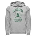 thumbnail image 1 of Mens Harry Potter Slytherin Quidditch Team Seeker Lightweight Hoodie, 1 of 4