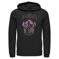 thumbnail image 1 of Mens Harry Potter and the Philosopher's Stone Hogwarts Gryffindor Lightweight Hoodie, 1 of 4