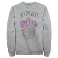 thumbnail image 1 of Mens Harry Potter and the Philosopher's Stone Hogwarts Gryffindor Sweatshirt, 1 of 4