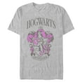 thumbnail image 1 of Mens Harry Potter and the Philosopher's Stone Hogwarts Gryffindor T Shirt, 1 of 5