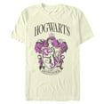 thumbnail image 1 of Mens Harry Potter and the Philosopher's Stone Hogwarts Gryffindor T Shirt, 1 of 3