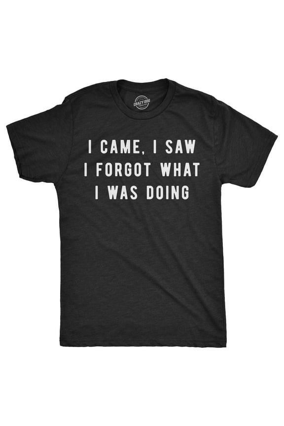 Mens I Came I Saw I Forgot What I Was Doing T Shirt Funny Sarcastic Tee for Guys Graphic Tees